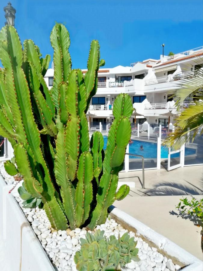 Aguamarina Apartment - Los Diamantes 2 Los Cristianos  Extérieur photo
