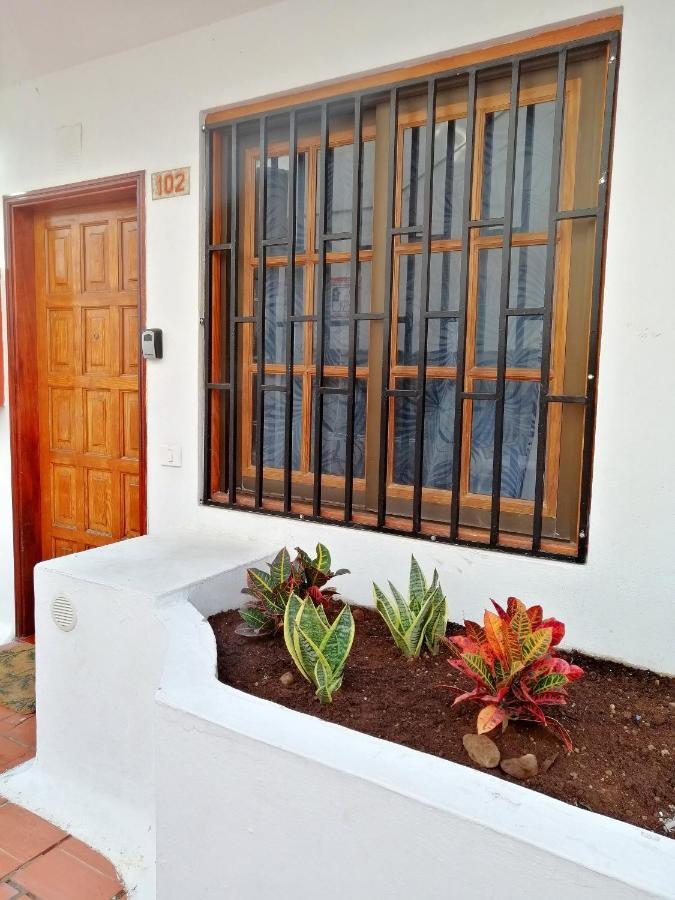 Aguamarina Apartment - Los Diamantes 2 Los Cristianos  Extérieur photo